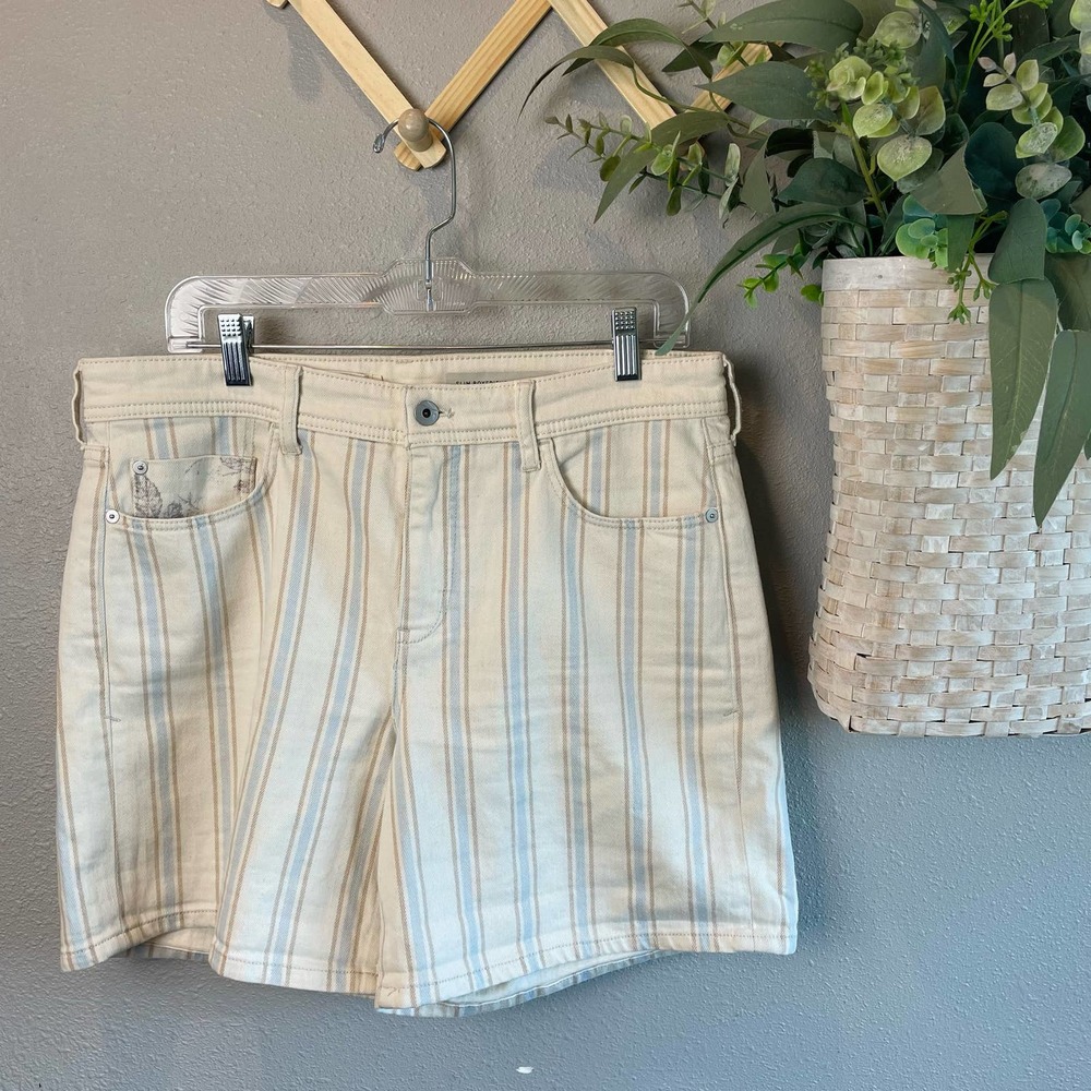 Anthropologie, Pilcro Slim Boyfriend Shorts, Cream and Blue